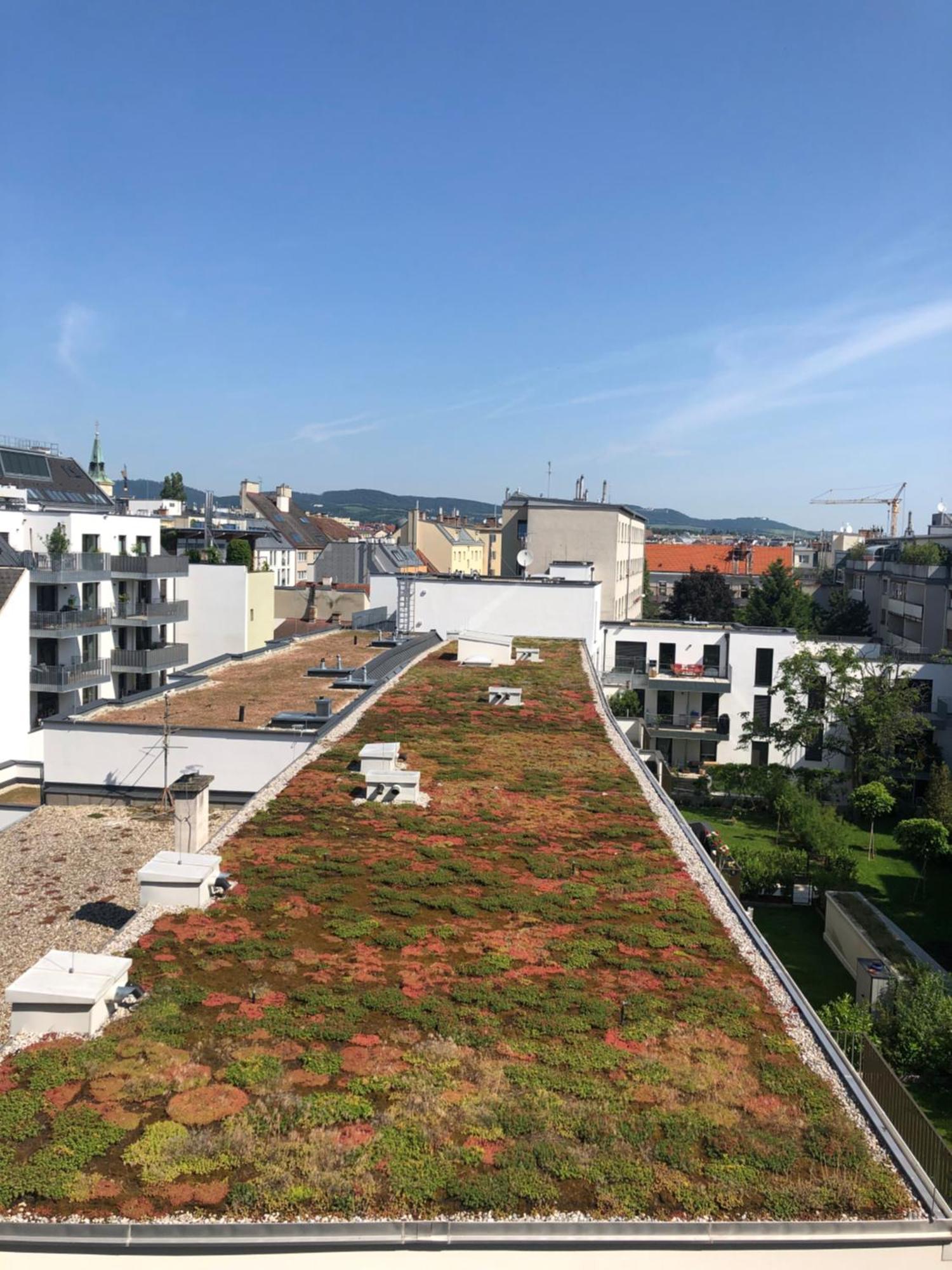 Vienna Sunny Side Up Apartments Viena Exterior foto